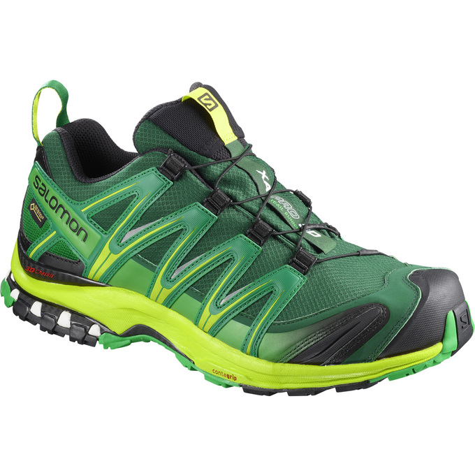 Salomon Singapore Mens Trail Running Shoes - XA PRO 3D GTX® Deep Green | 16507-KEPD